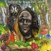 Forest of the Happy Ever After