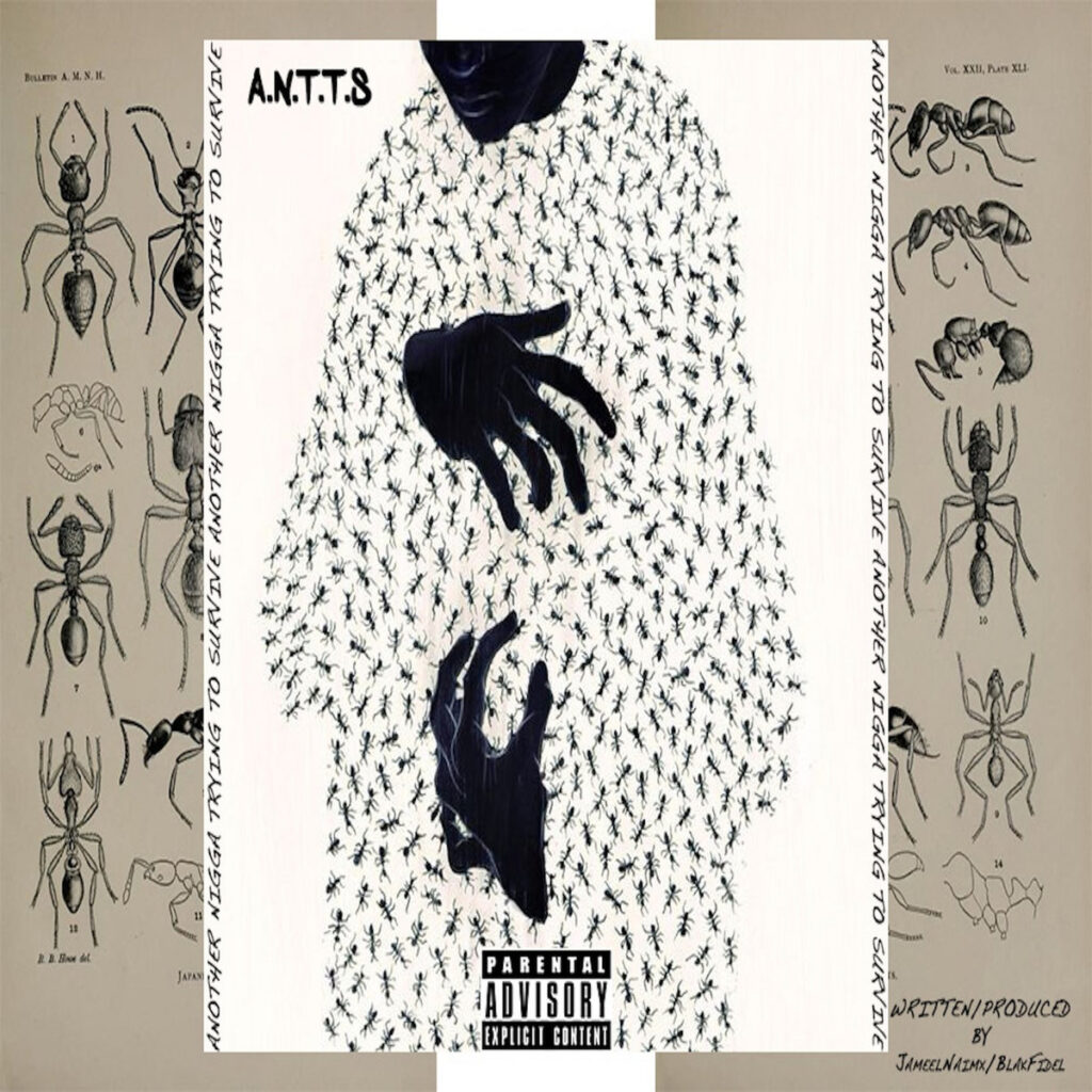 antts