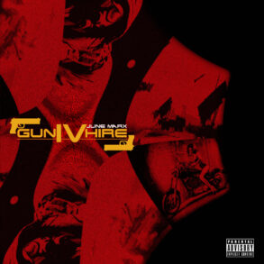 gun iv hire